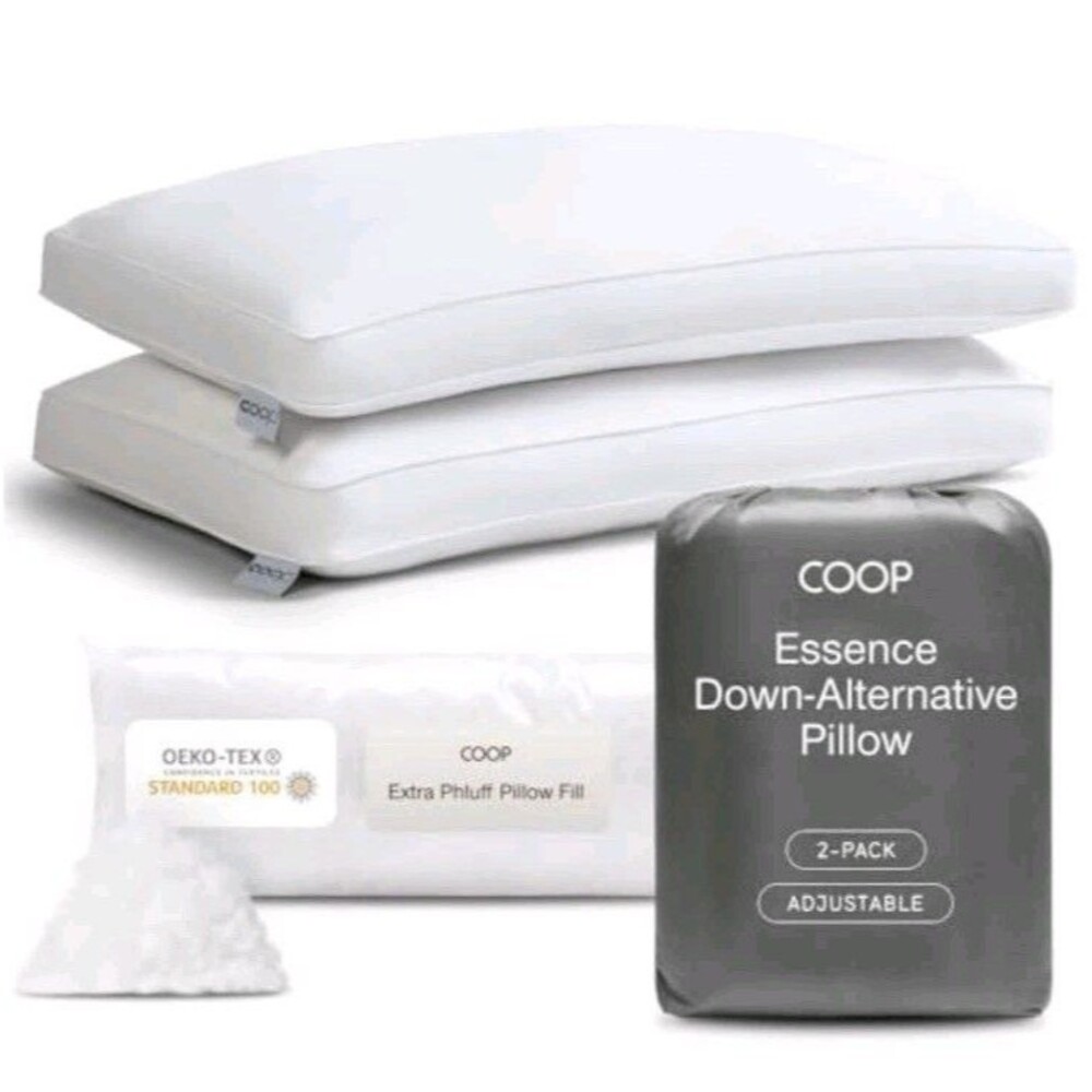 Coop Home Goods Queen Size Essence Down Alternative Pillow Set of 2